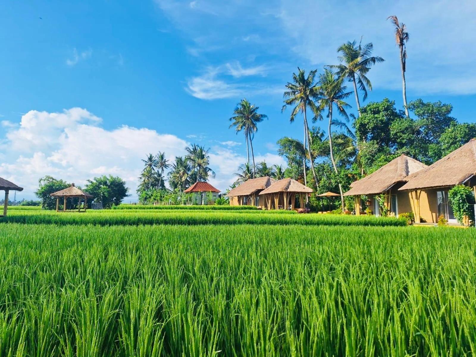 Rumah Kita Ecolodge Ubud  Exterior photo